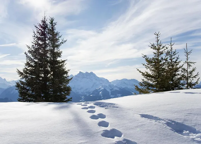 Montagnards 12 By Interhome Apartament Villars-sur-Ollon