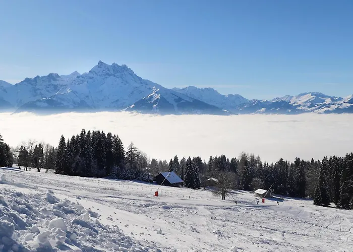 Montagnards 12 By Interhome Lejlighed